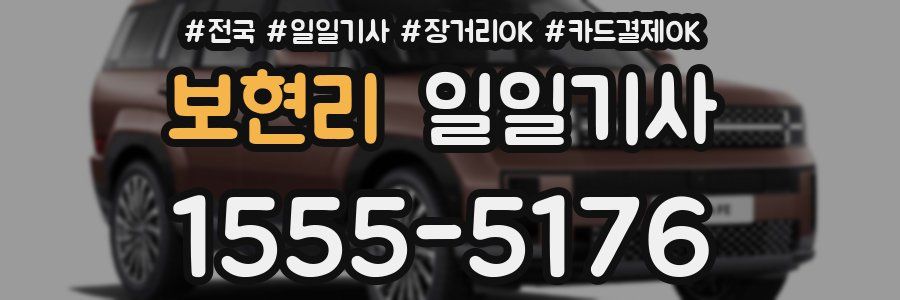 보현리 일일기사