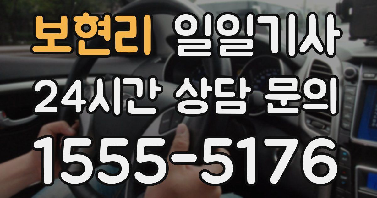 일일대리기사
