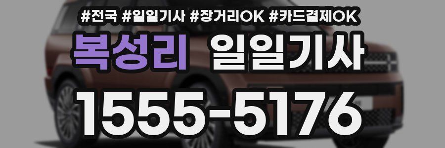 복성리 일일기사