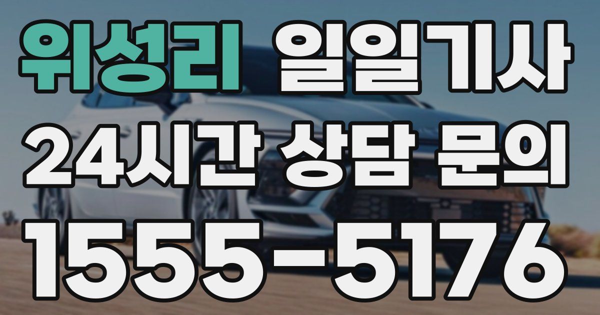 일일대리기사