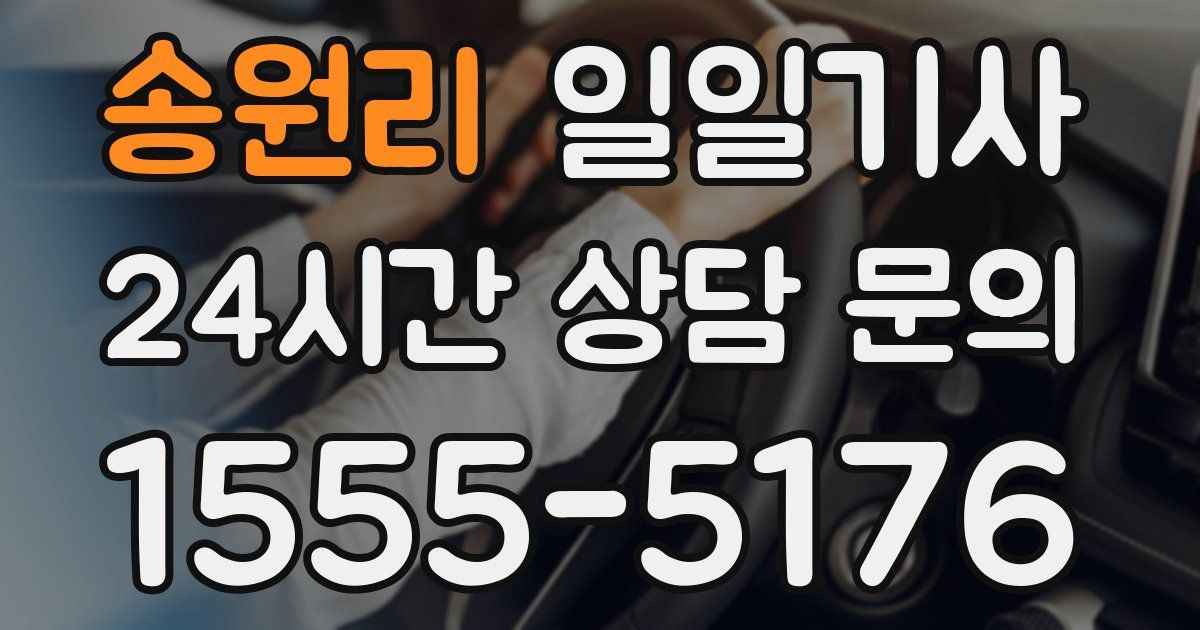 일일대리기사
