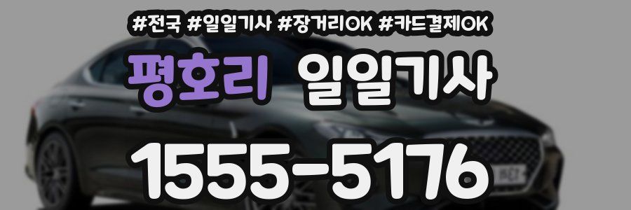 평호리 일일기사