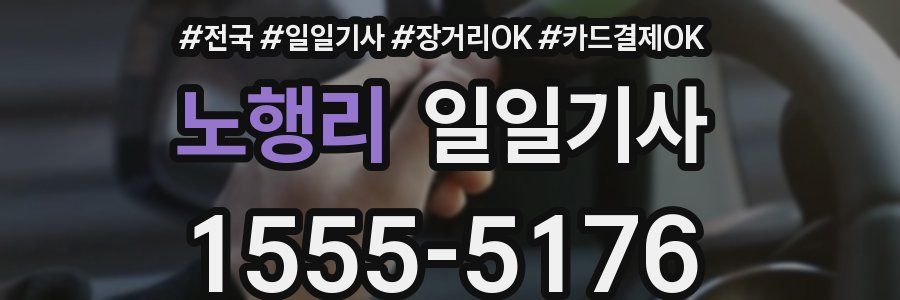 노행리 일일기사