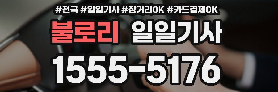 불로리 일일기사