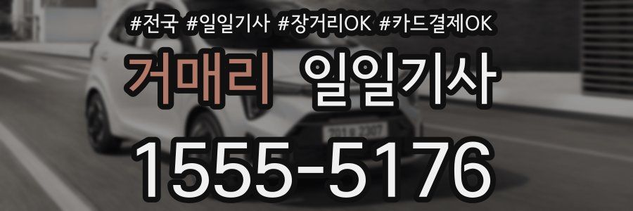 거매리 일일기사