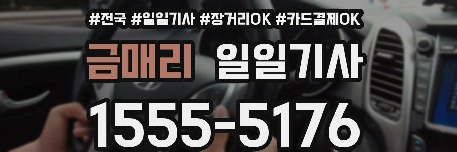 금매리 일일기사