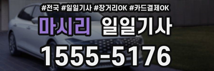 마시리 일일기사