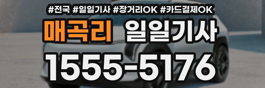 매곡리 일일기사
