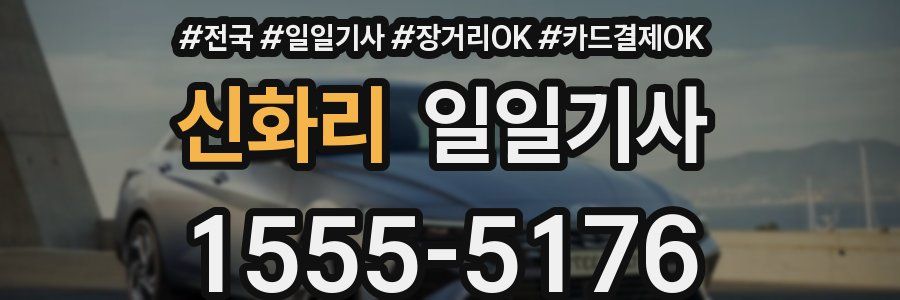 신화리 일일기사