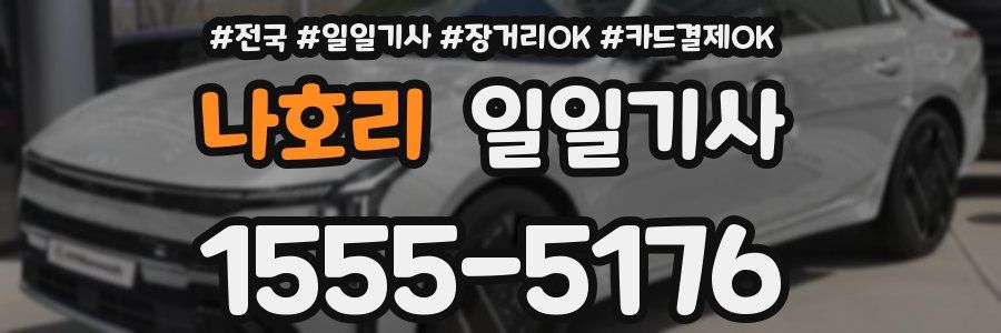 나호리 일일기사