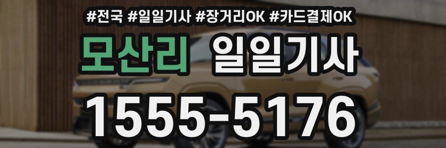 모산리 일일기사