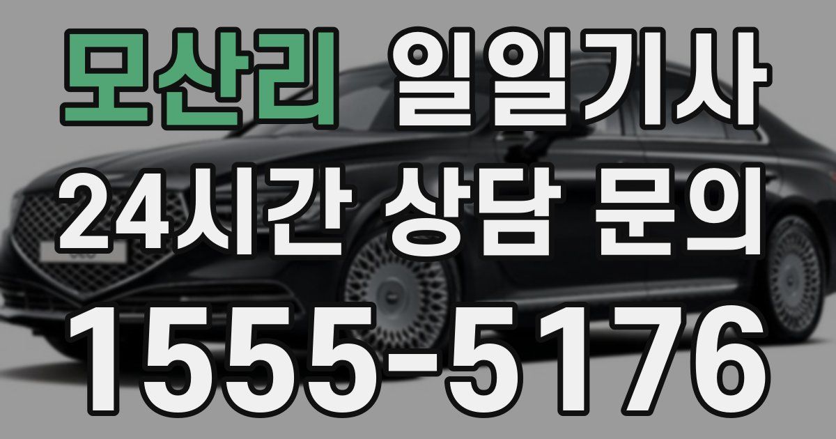 일일대리기사