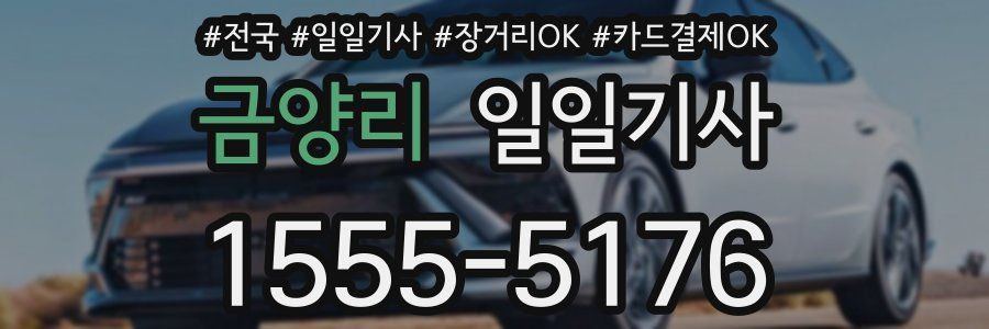 금양리 일일기사