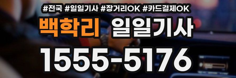 백학리 일일기사