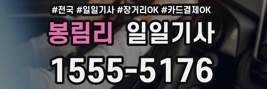 봉림리 일일기사