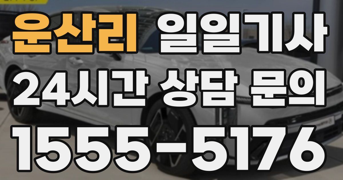 일일대리기사