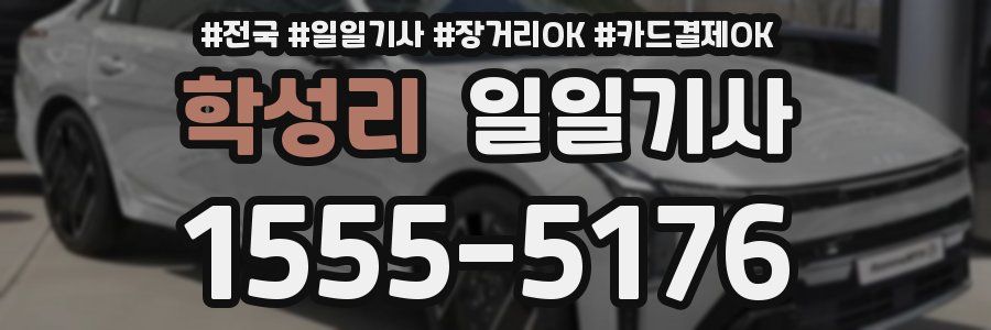 학성리 일일기사