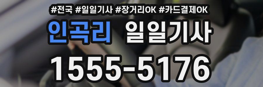 인곡리 일일기사