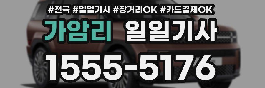 가암리 일일기사