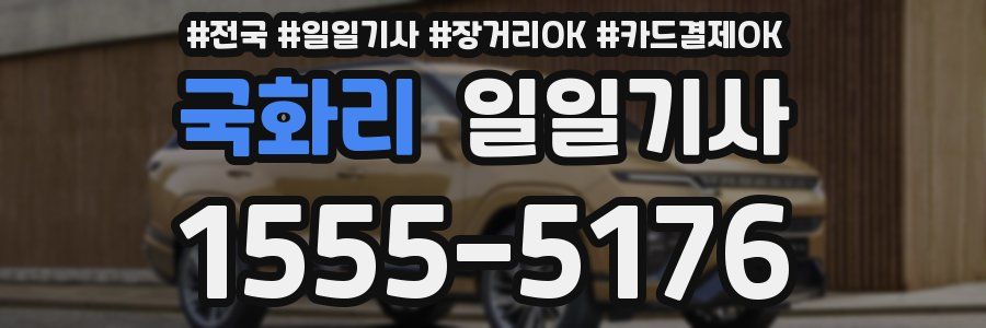 국화리 일일기사