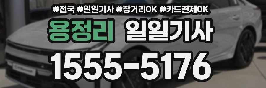 용정리 일일기사