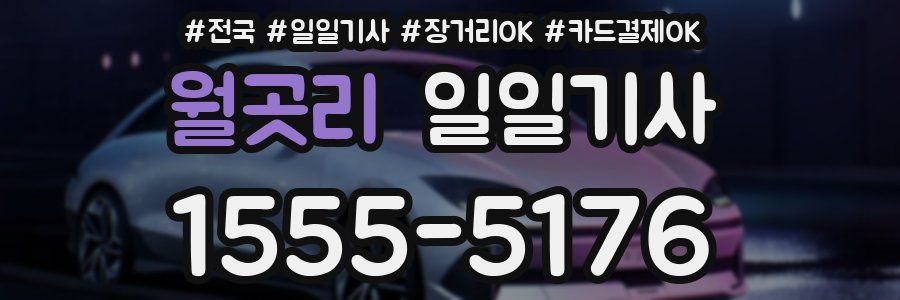 월곳리 일일기사