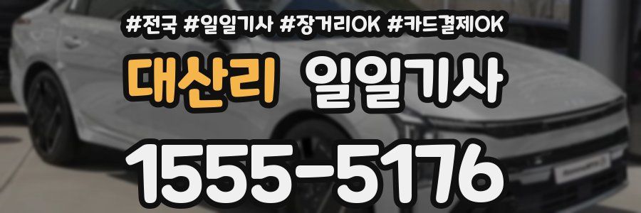 대산리 일일기사