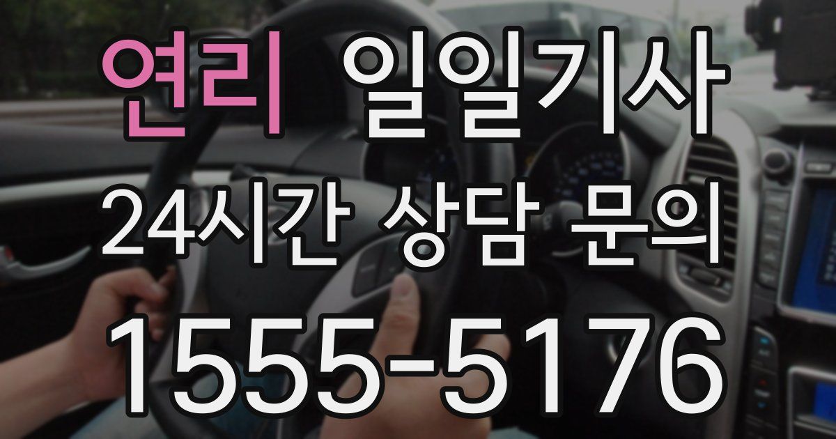 일일대리기사