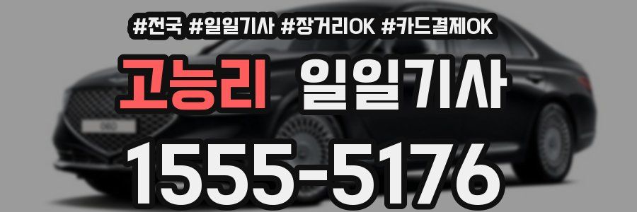 고능리 일일기사