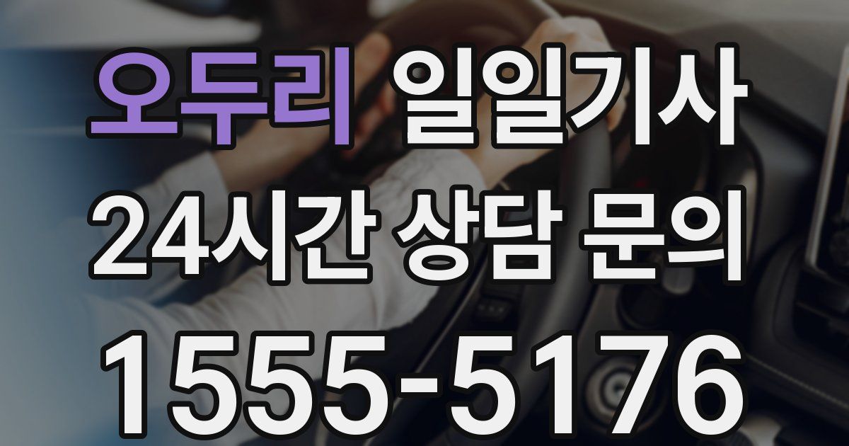 일일대리기사