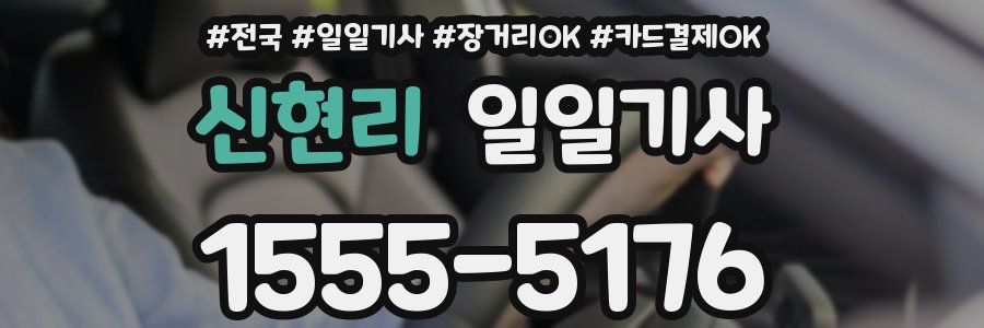 신현리 일일기사