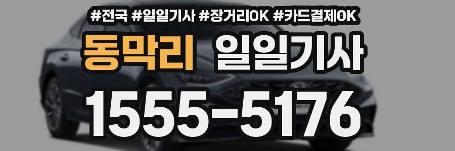 동막리 일일기사