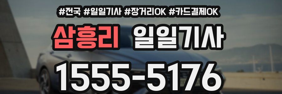 삼흥리 일일기사