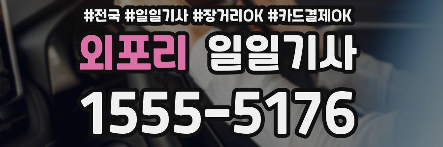 외포리 일일기사