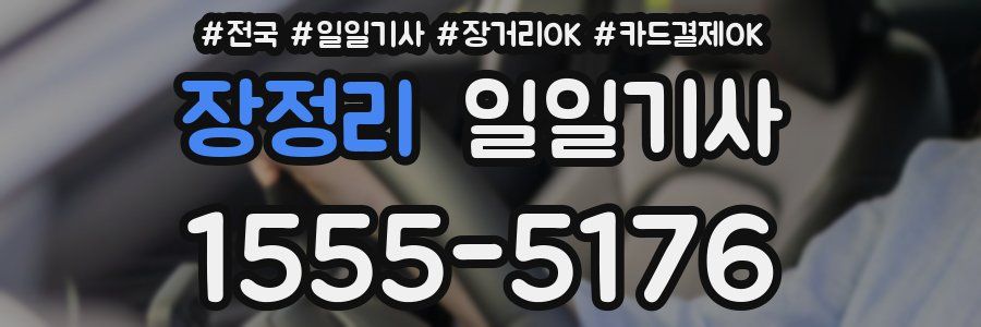 장정리 일일기사