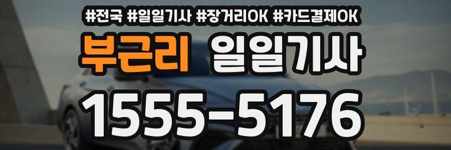 부근리 일일기사