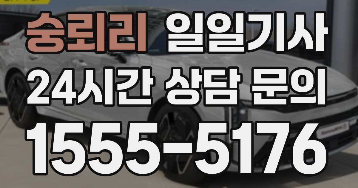 일일대리기사