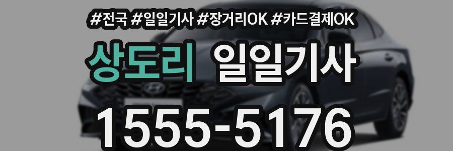 상도리 일일기사