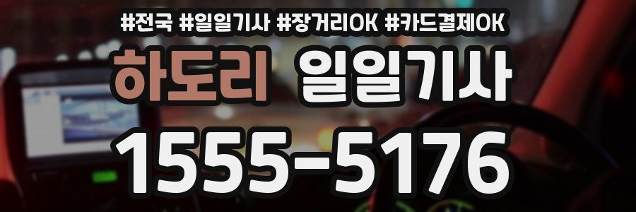 하도리 일일기사