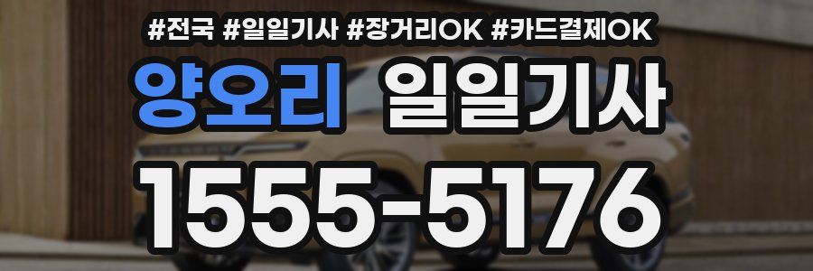 양오리 일일기사