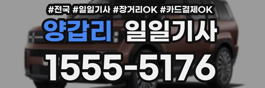 양갑리 일일기사