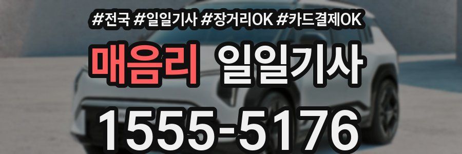 매음리 일일기사