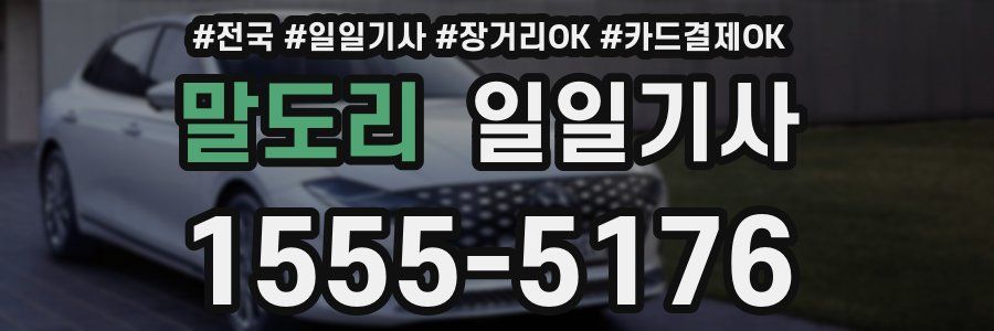 말도리 일일기사