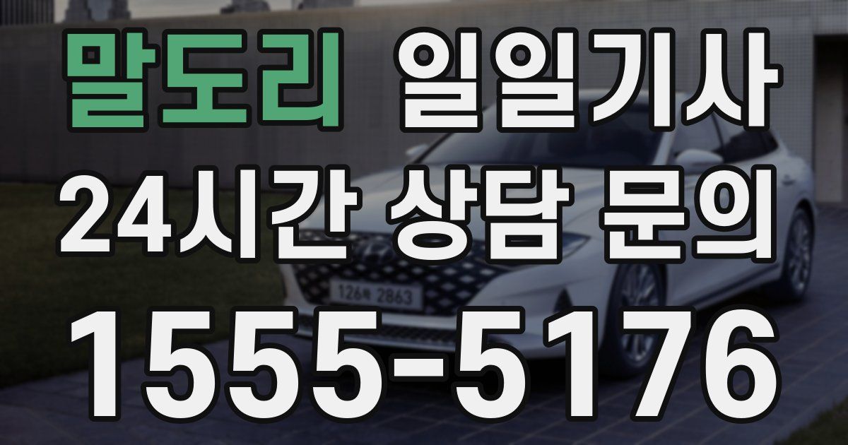 일일대리기사