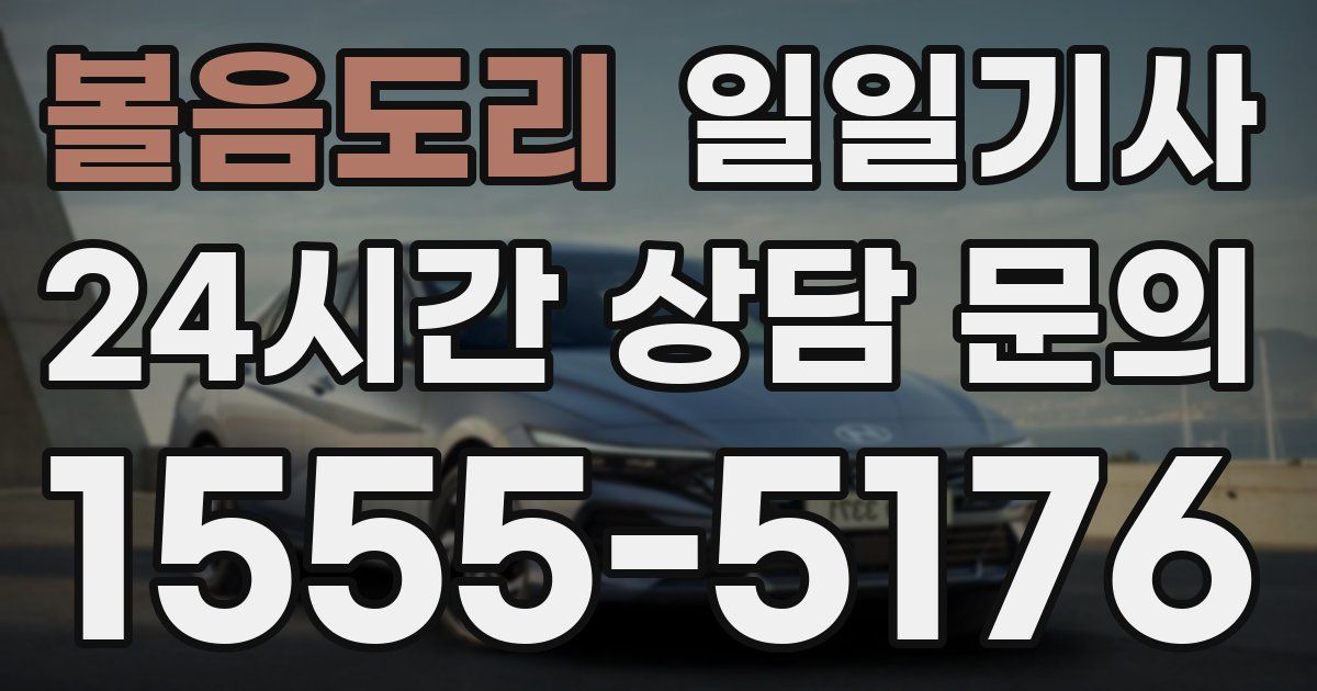 일일대리기사
