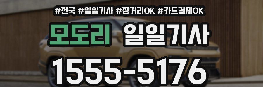 모도리 일일기사