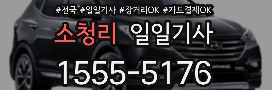 소청리 일일기사