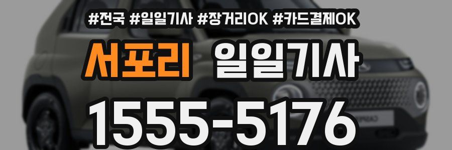 서포리 일일기사