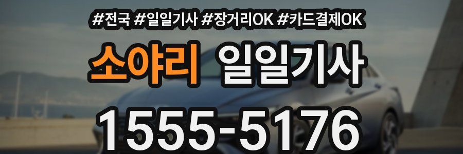 소야리 일일기사