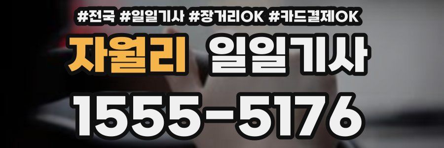 자월리 일일기사